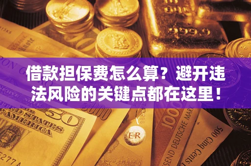 济南借款担保费怎么算？避开违法风险的关键点都在这里！