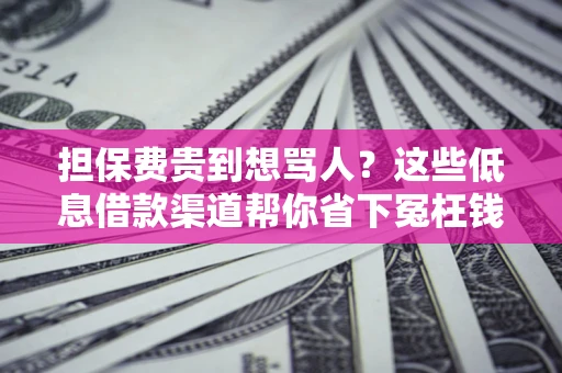 济南担保费贵到想骂人？这些低息借款渠道帮你省下冤枉钱
